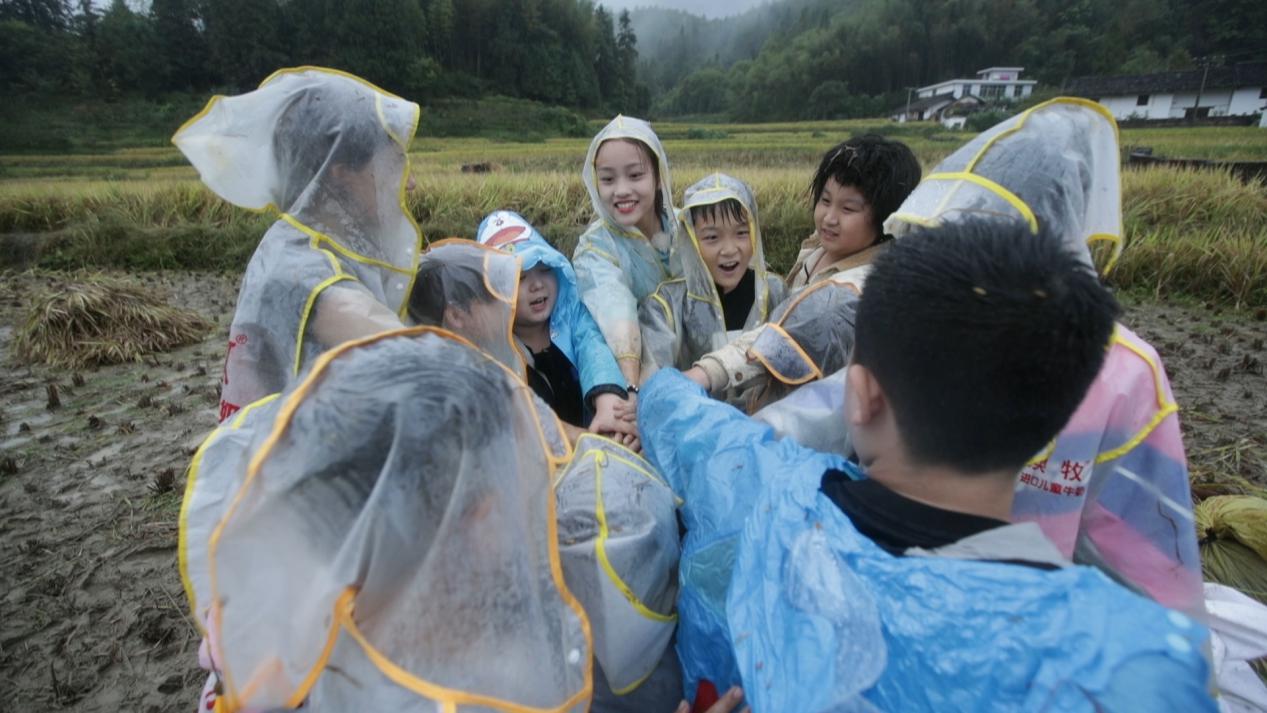 澳牧小时候饮食要求,澳牧谁知盘中餐