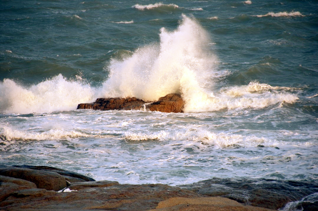 浠庡崡娴蜂箣婊ㄥ埌鍖楀浗闆師,浠庡崡鐤嗗埌鍖楃枂