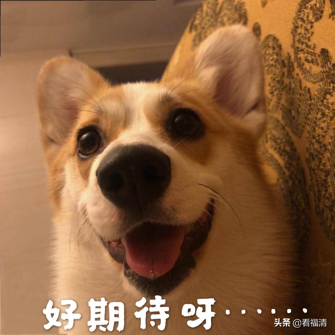 福清可以办理二手车异地交易登记手续了