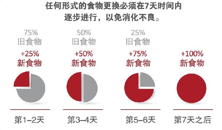 养法国斗牛犬应该注意什么,养法国斗牛犬要注意的事项秋天