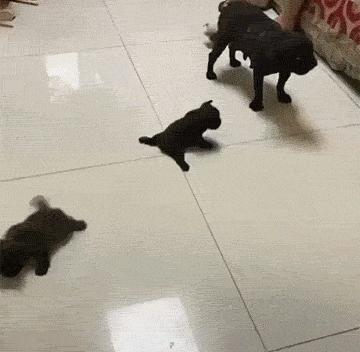 揭秘互联网比较常见的网赚骗局,知识分享割韭菜新套路