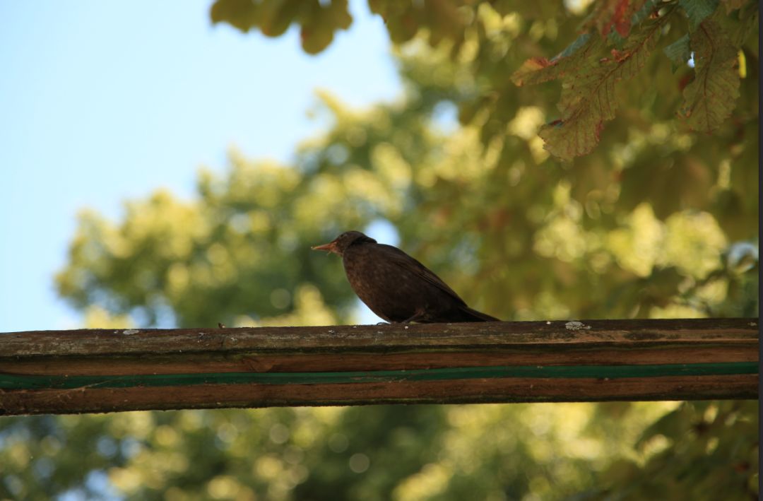 如何做一个有价值的复盘,要养成复盘的习惯