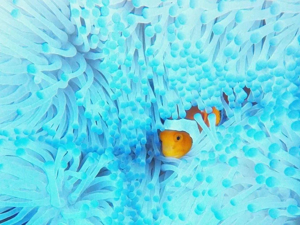 冲绳有啥,冲绳有没有啥