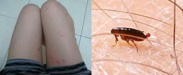 南方人在北方需要注意什么,南方人冬天来到北方最怕什么