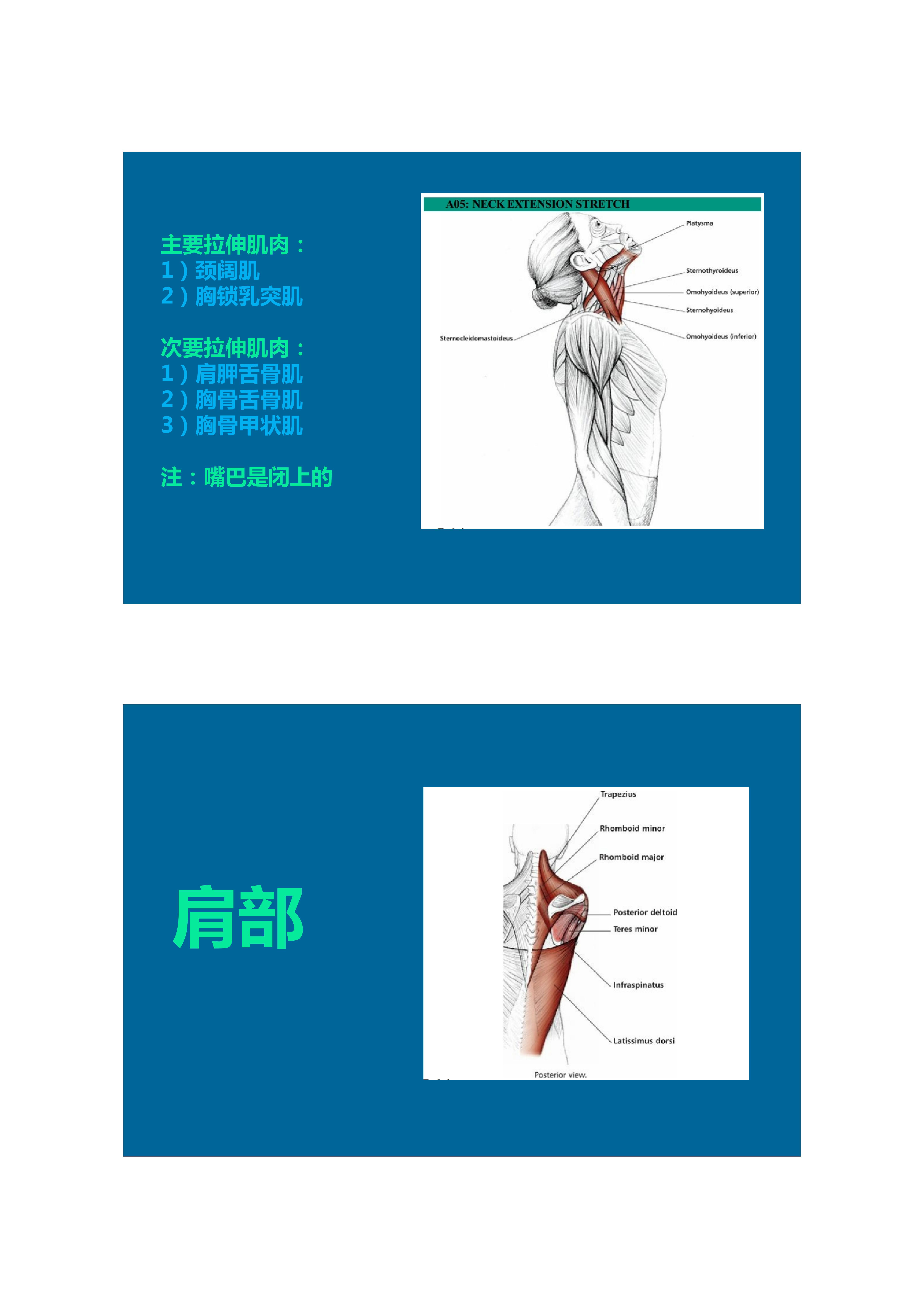 拉伸动态块制作技巧,泰式后背拉伸技巧视频
