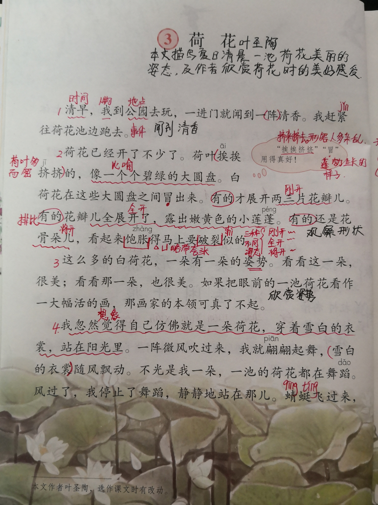 三年级下册语文荷花预习笔记,星凝老师