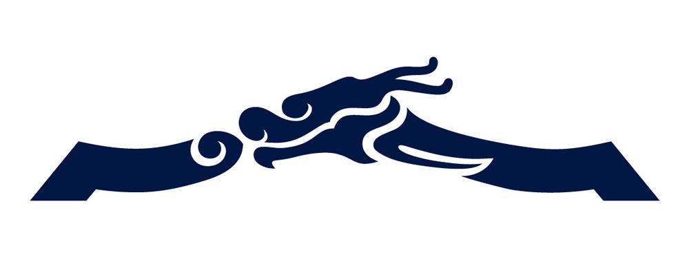 新疆天山雪豹队logo,天山雪豹足球俱乐部中甲