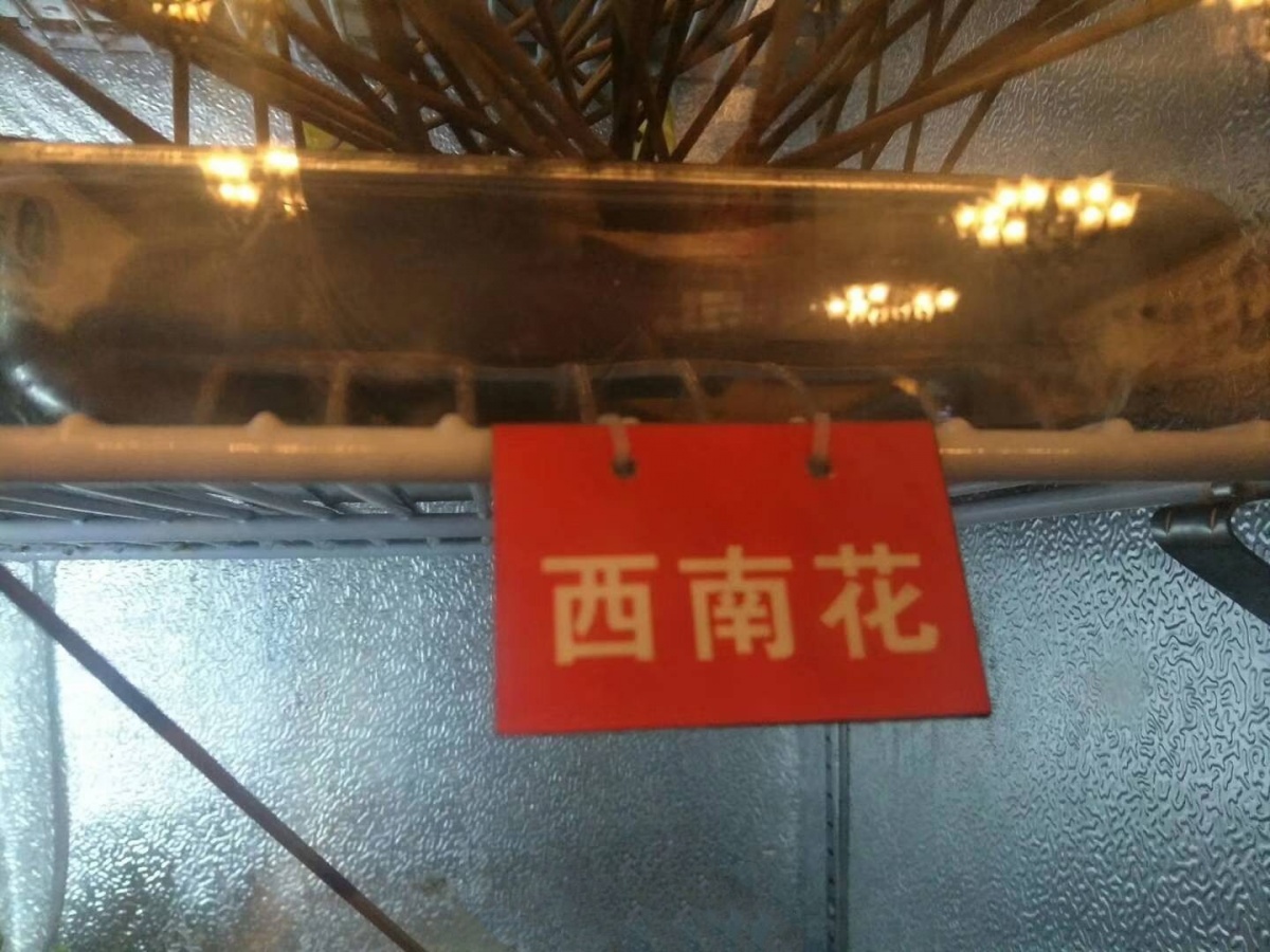 正南齐北是成都话吗,正南齐北的由来