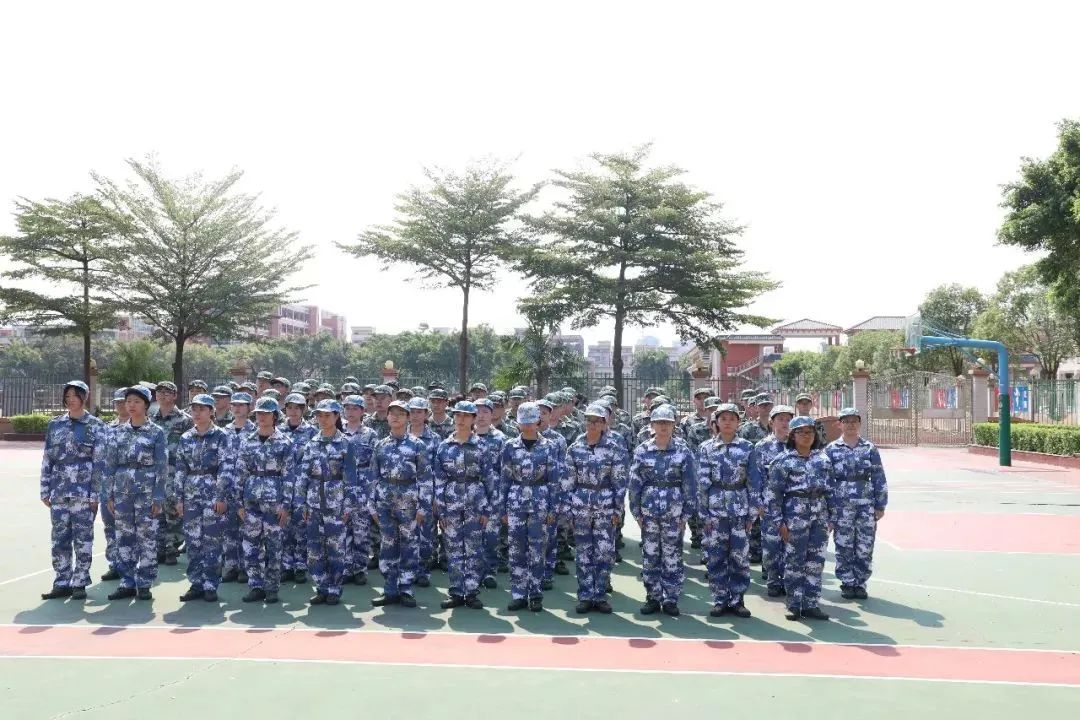 惠州经济职业技术学院建议报吗,高职高考看什么视频