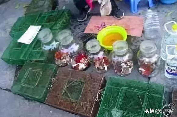 愤怒！这群人经常出现在乐亭农村的各大乡镇，你们遇到过吗？