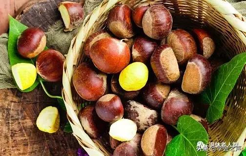 央视的养生保健品,央视养生保健产品