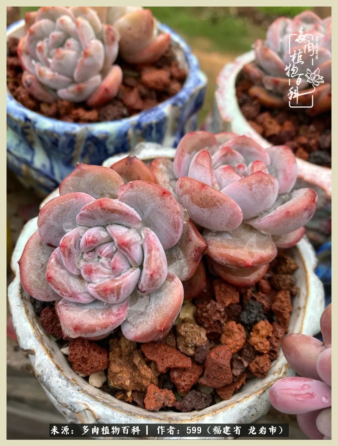 所有的热爱都不遗余力,所有的忙碌都是因为热爱