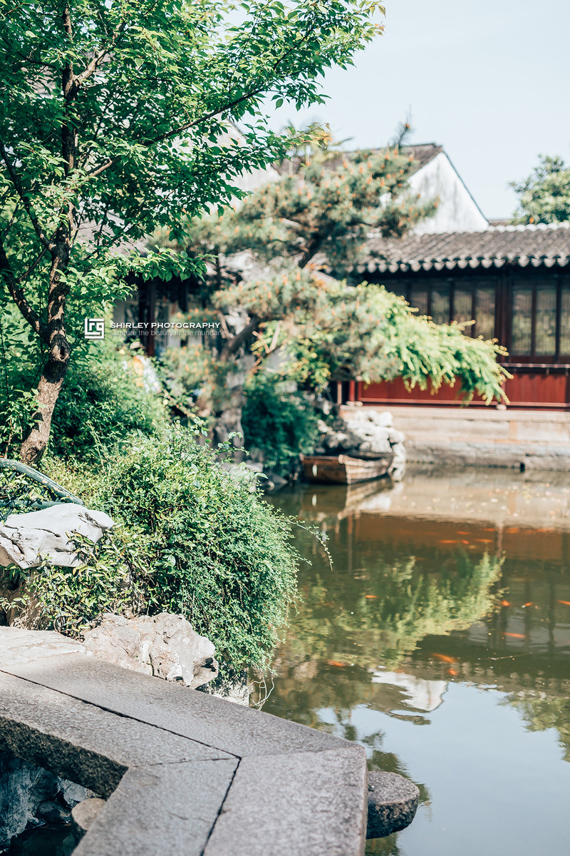 苏州旅游最不能错过的江南园林,留园拙政园是苏州著名的园林