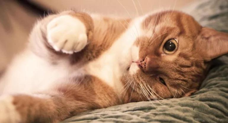 友情终成遗憾,友情和爱情的尽头