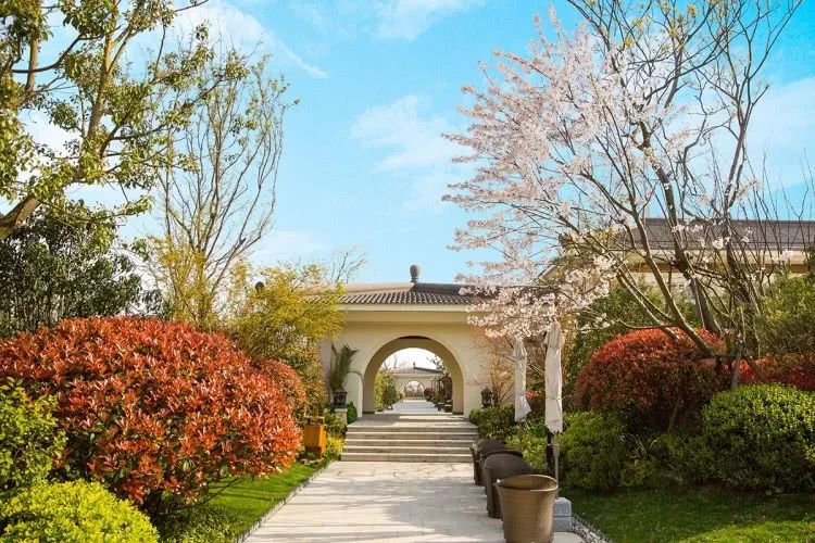 苏州太湖哪里好玩,苏州太湖西山景区