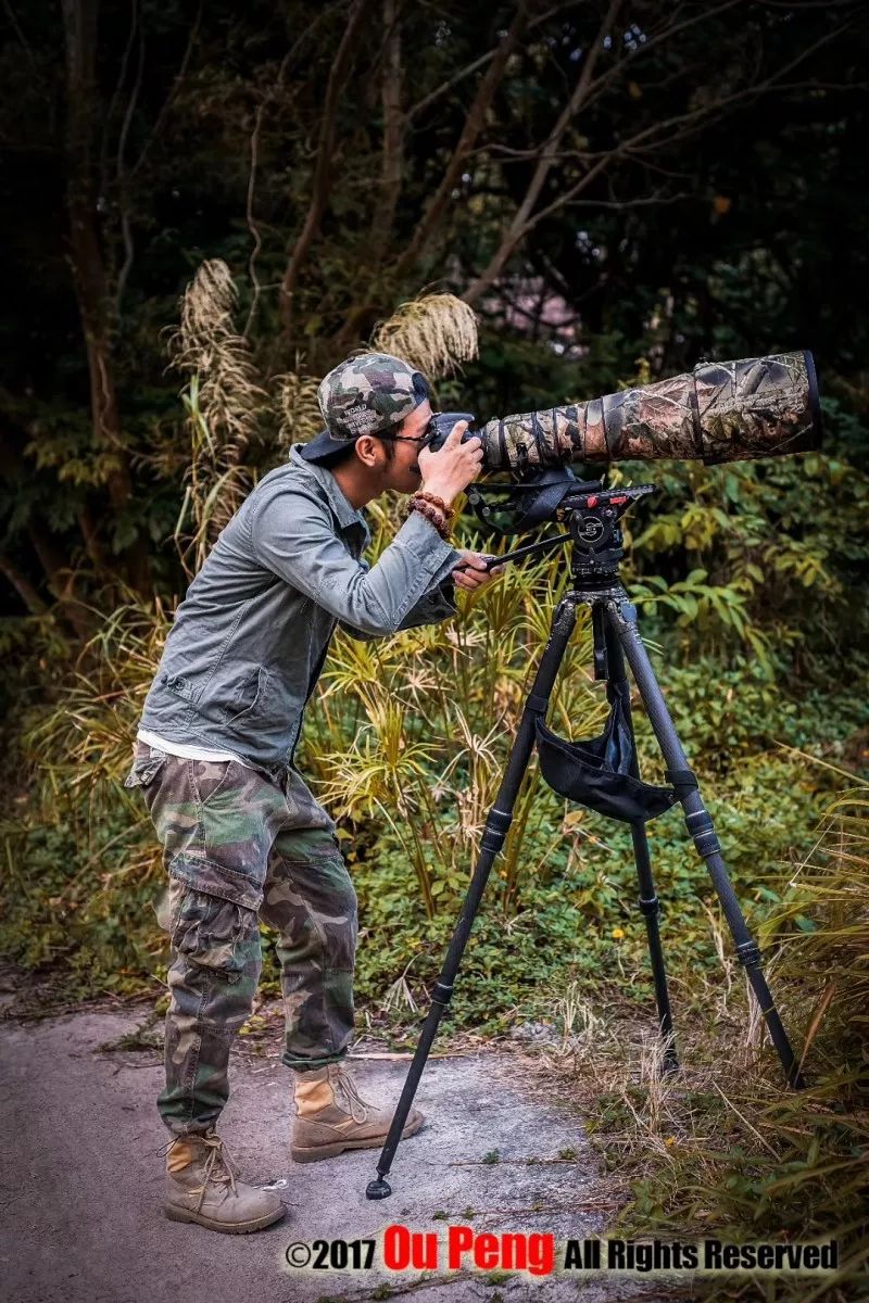 娆ч箯娣卞湷,娆ч箯鍔ㄧ墿涓栫晫