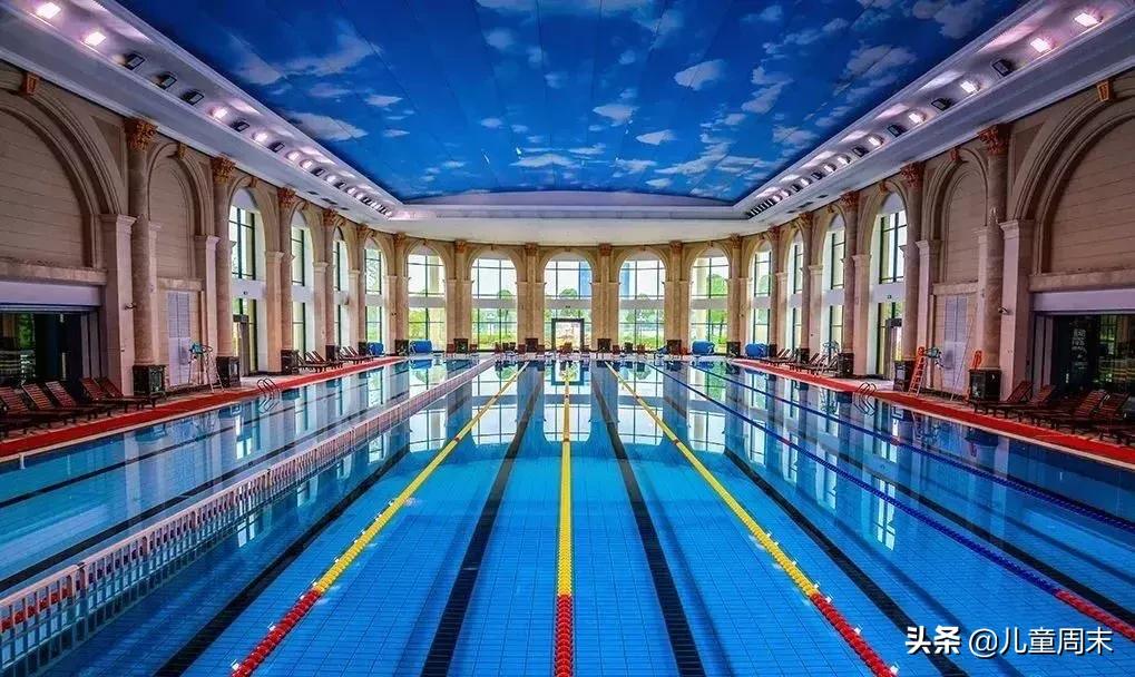 深圳游泳教练培训学校有哪些,深圳成人游泳培训班哪里好