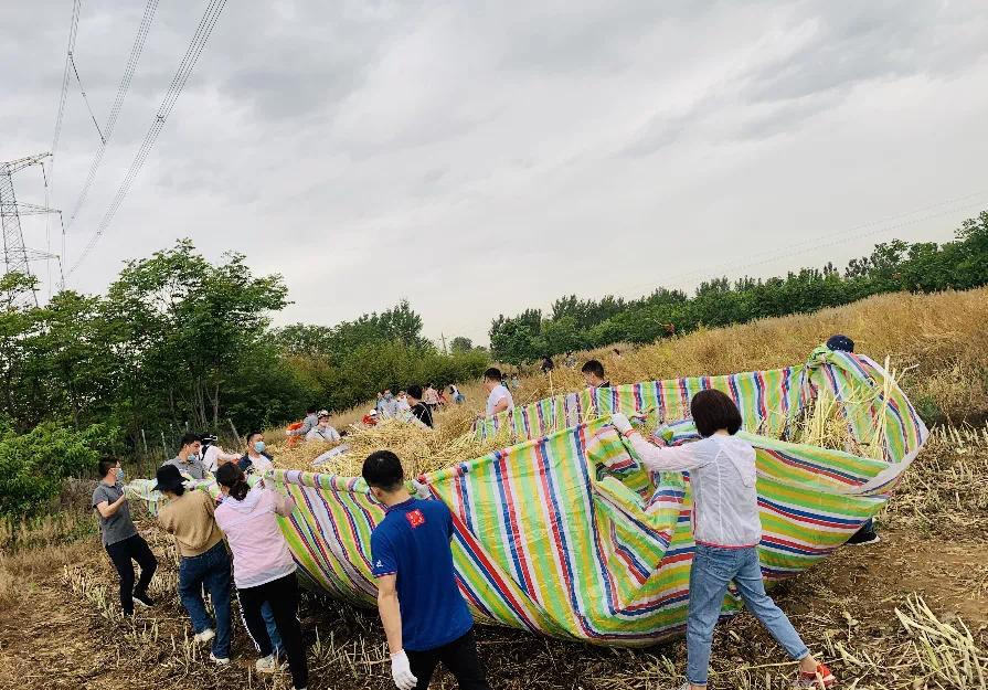 劳动课教学新思路新方法,如何设计一堂有特色的劳动课