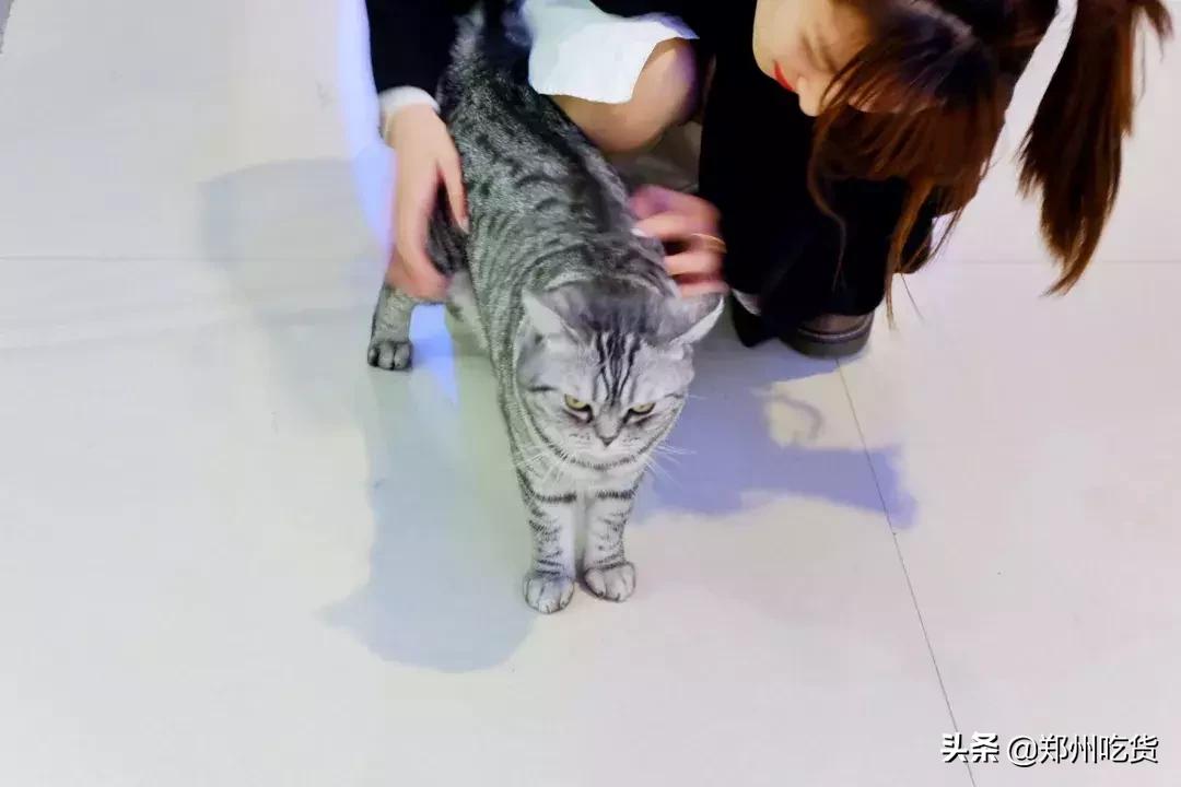 郑州万邦批发市场干货,最新最全郑州批发市场一览表