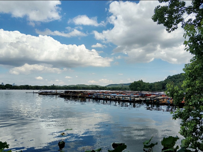 杭州西湖景点郭庄视频,杭州郭庄园林