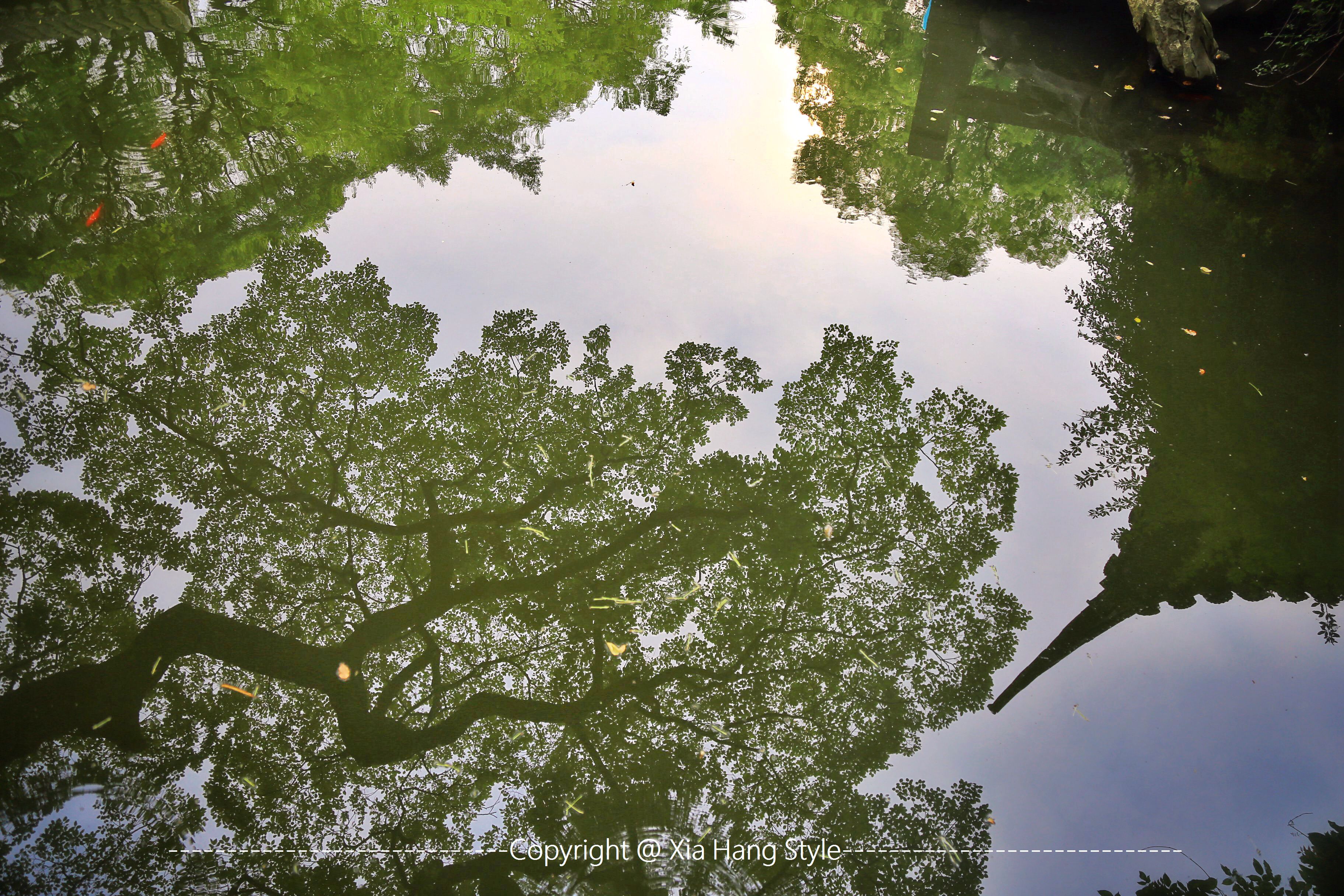 美丽的人间天堂，有着历史悠久的老街，因美食闻名天下