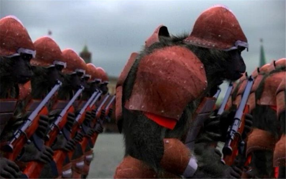 人类和猩猩有共同祖先吗,人类和大猩猩基因相似的原因