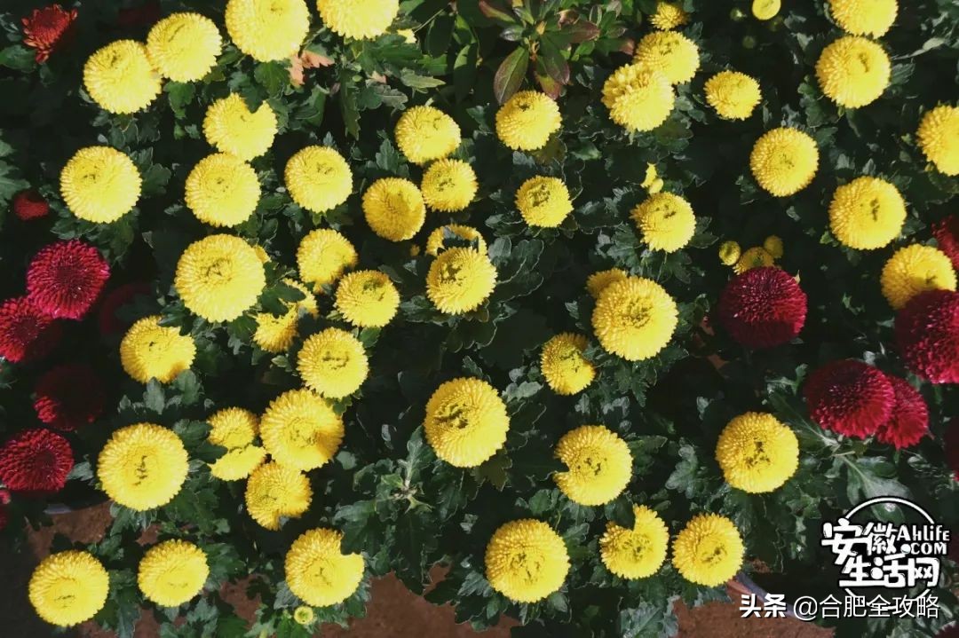 老周谷堆水果批发市场,老周谷堆古玩市场