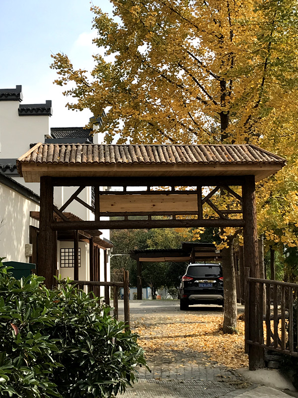 采菊东篱下悠然见南山拙政园,采菊东篱下悠然见南山芒种