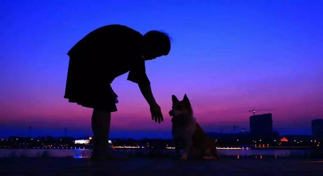 初春南京一日游攻略导图,南京秋景一日游的攻略