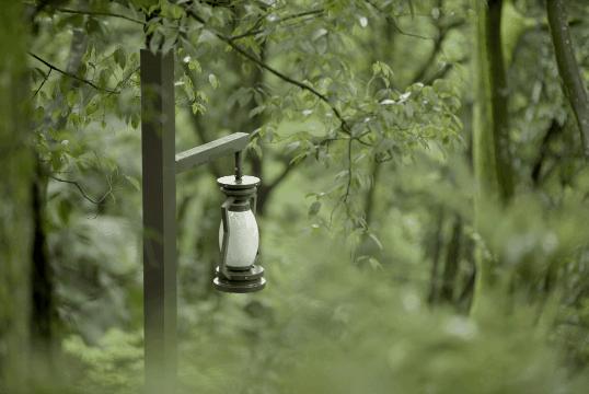 武大师兄弟复活湘西秘境，1块钱就能入股