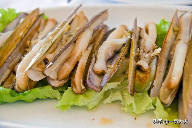 这些海鲜让你一次吃到饱,海味都有哪些品种