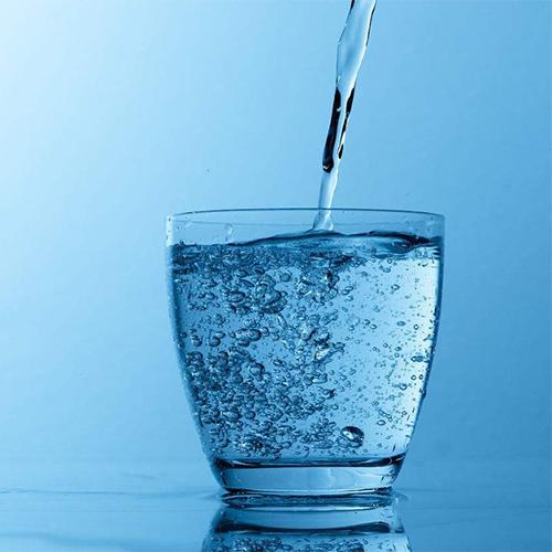 比熊每天尿十几次,比熊每天尿几次