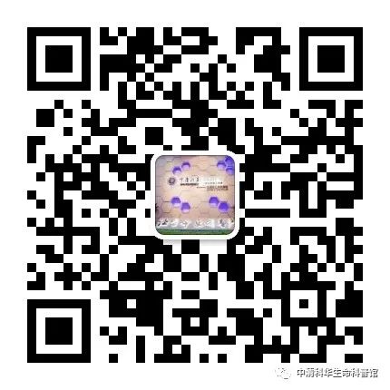 正确认识小儿腹泻,小儿腹泻知识科普