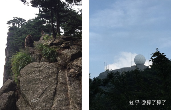 泰山华山衡山黄山嵩山哪个山最高,华山黄山泰山嵩山哪个景色好