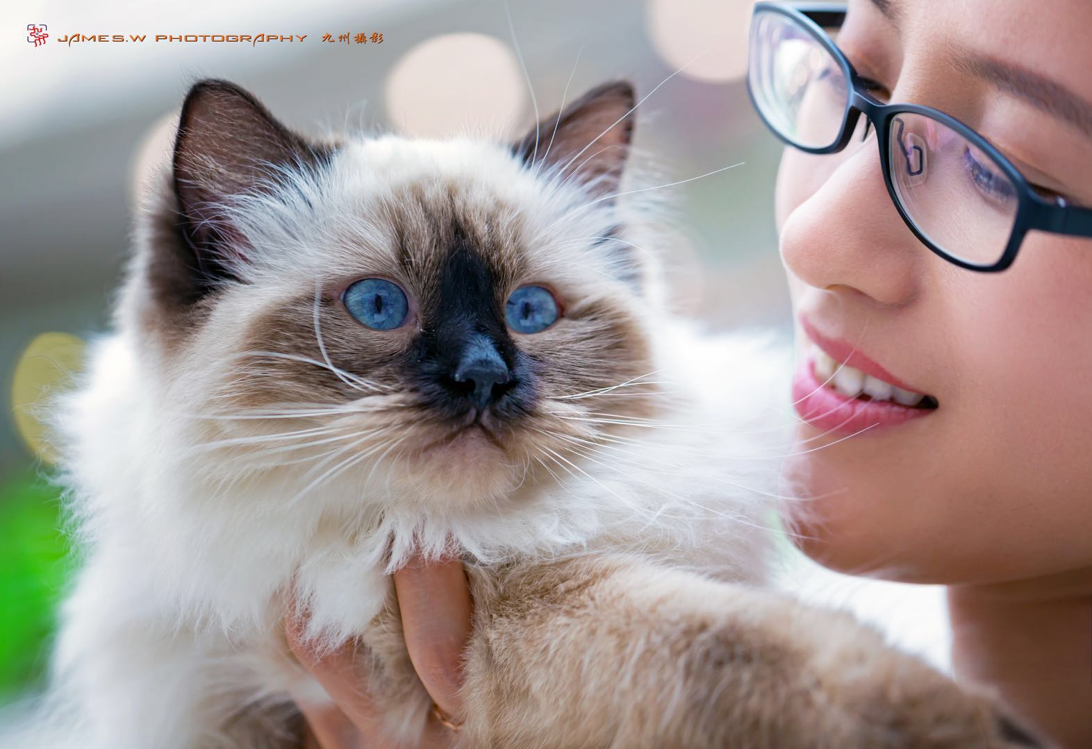 最好看的猫爪杯,猫爪杯好抽吗