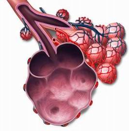 胸腔积液恶性怎么办,胸腔恶性积液
