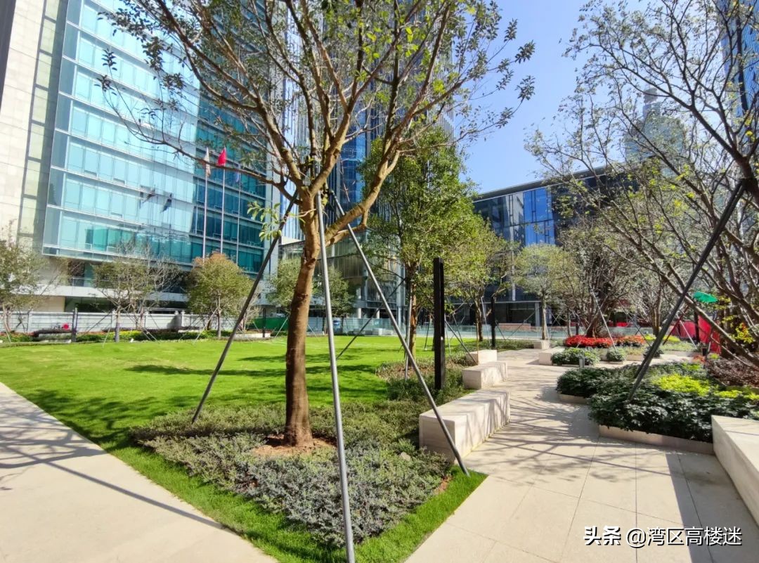 上海黄金交易所正式开业,黄金交易所深圳运营中心大楼