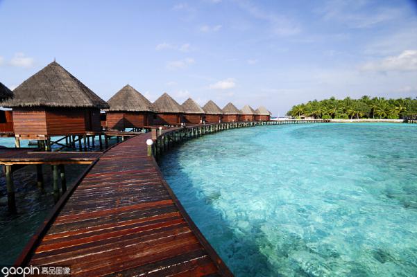 马尔代夫最震撼的海底,世界上最漂亮的海底珊瑚礁