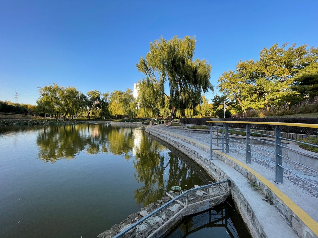 iphone12最佳入手时间下半年,iphone12性能更强拍摄更出色