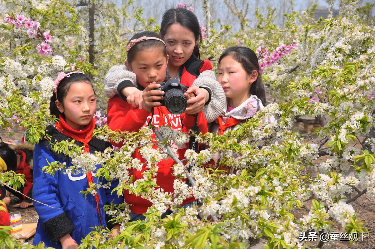 沭阳县百强县排名,中国百强县江苏沭阳