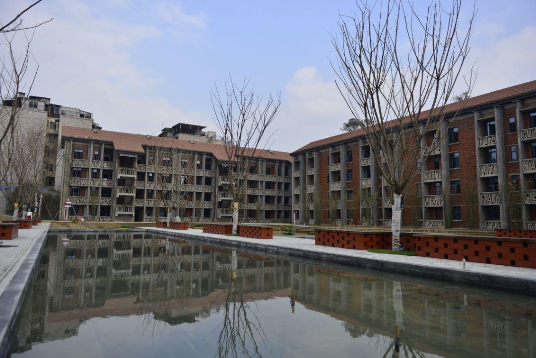 【慢游新天府，感受新成都】端午节特辑（二）|世界冠军蒋文文、蒋婷婷带你去逛川西林盘和特色小镇打卡地