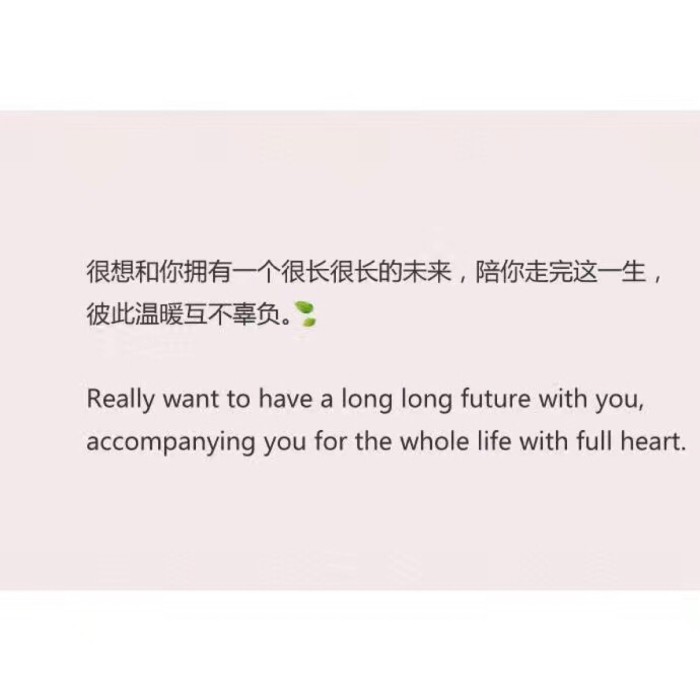 青春是一场回不去的记忆 (青春是一场渐行渐远的旅程)