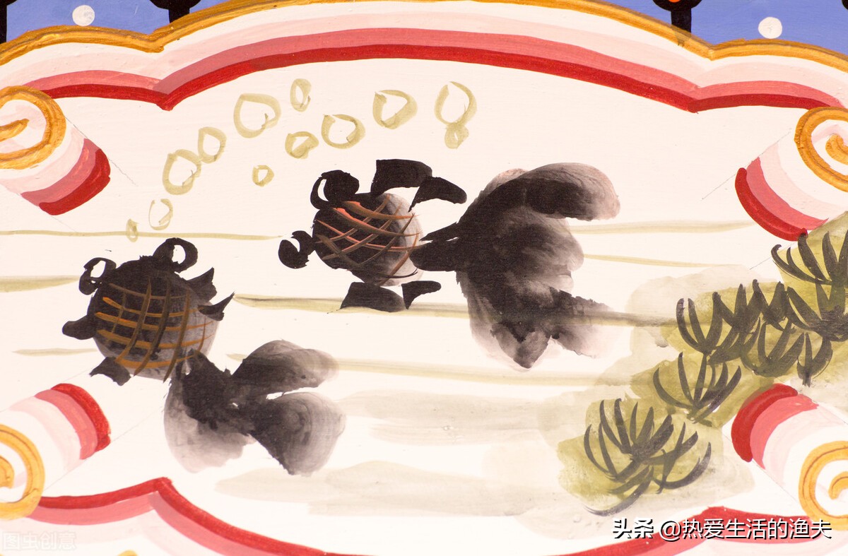 草金鱼长时间不喂食会饿死吗,草金鱼不喂食会不会饿死