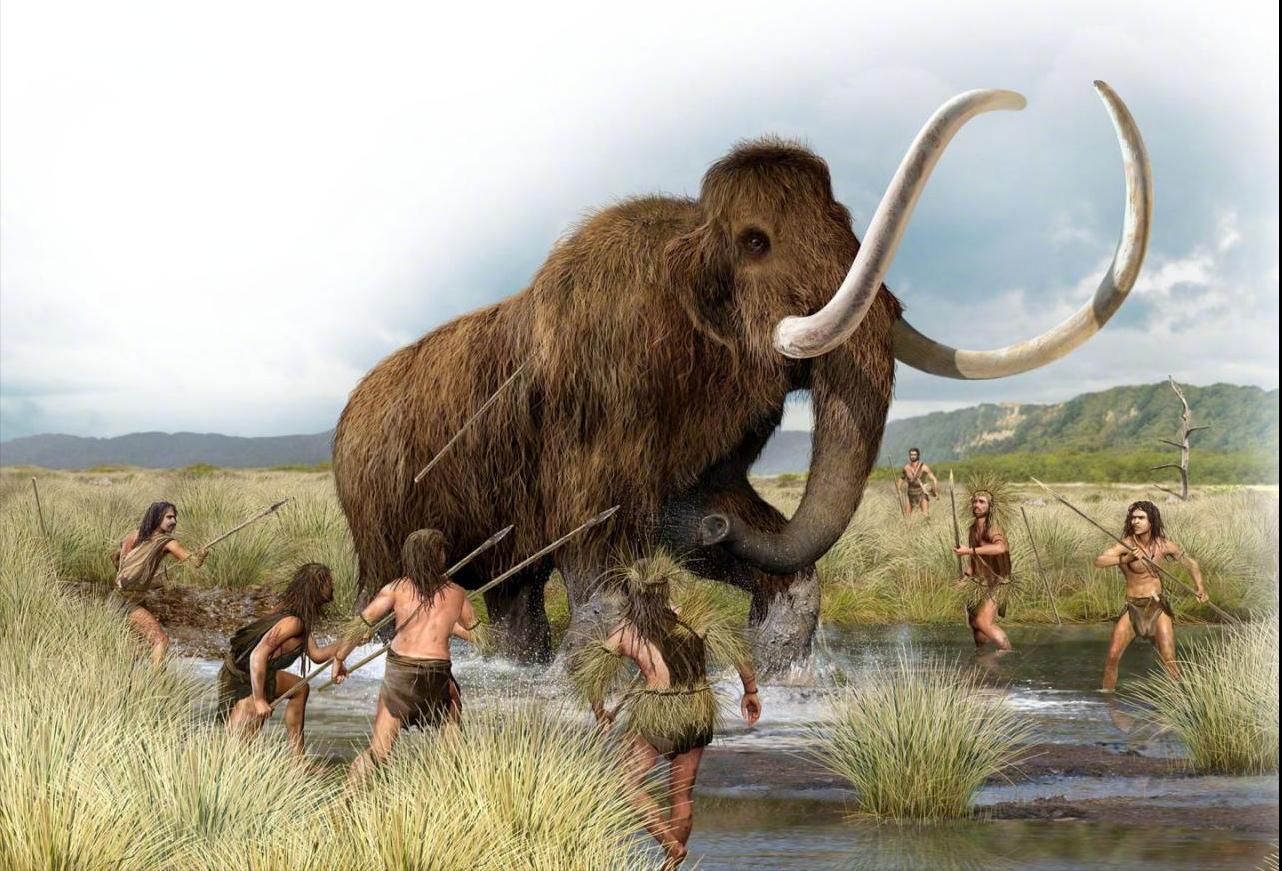 一万年前，史前大象被人类吃到灭绝？研究人员表示这个锅人类不背