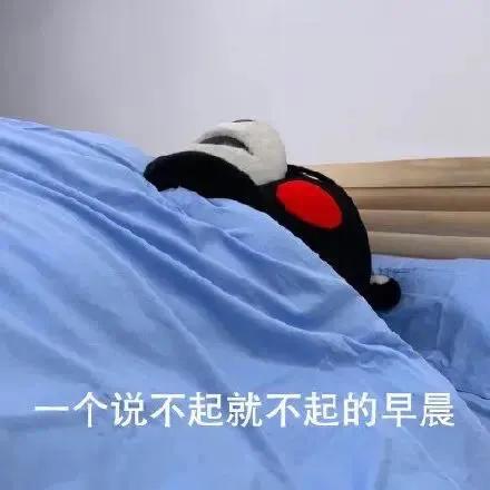 别人的五一和我的五一表情包,关于五一的表情包