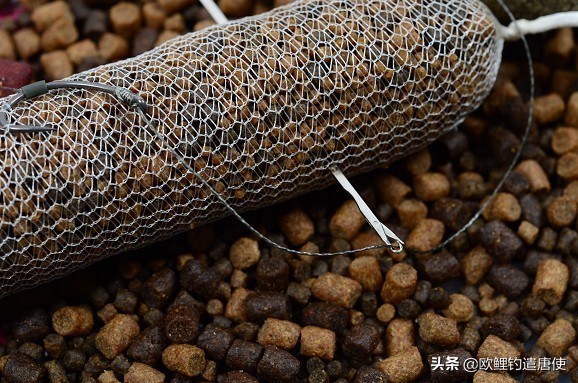 话说欧鲤钓组全集,欧鲤钓法pva