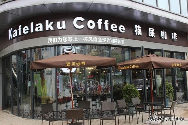 人类最早的避孕措施,古老避孕药有哪些