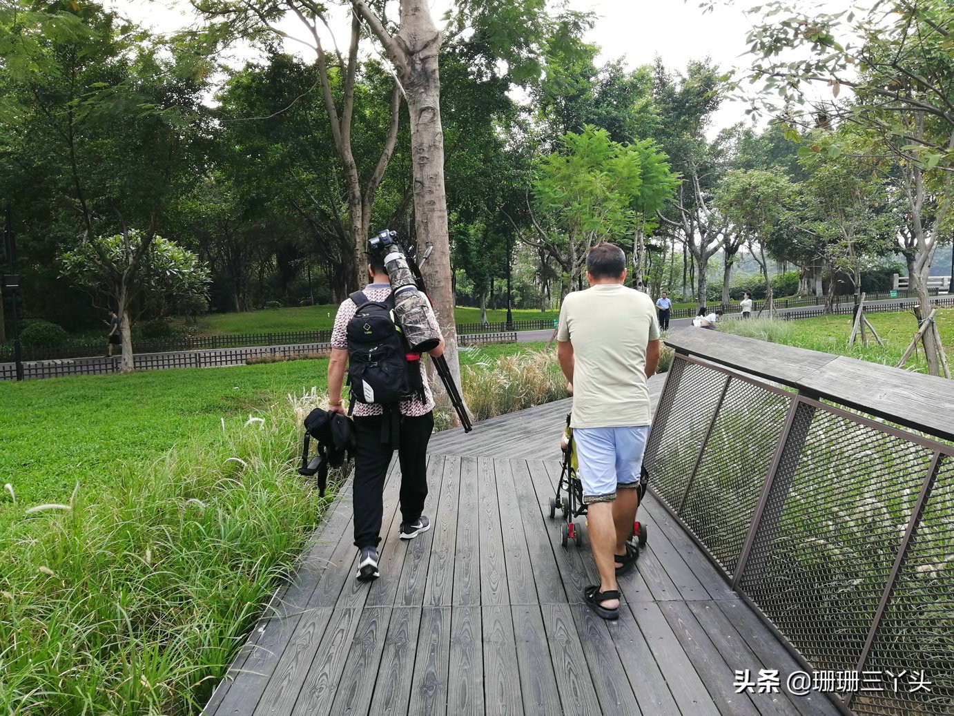 广州湿地公园推荐,广州龙潭河湿地公园