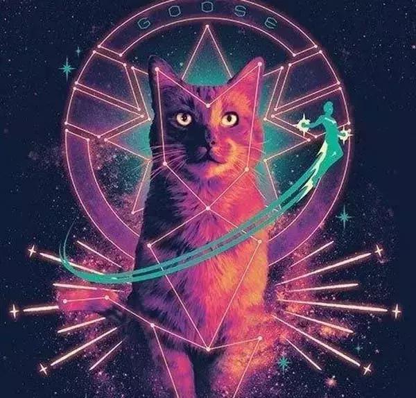 橘猫的7大优点养过的人都说好,自从养了猫才知道什么是爱