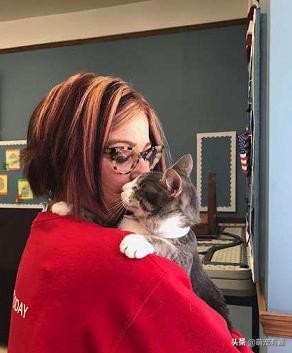 救治失明猫咪,失明猫被救助视频